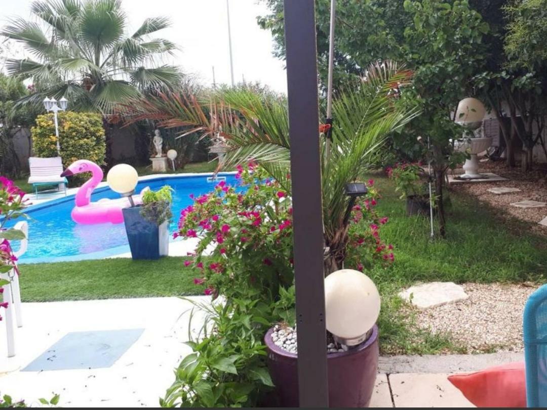 Suite-Junior -Villa Helene - Montpellier Sud - Aeroport- Piscine Privee-2Mn Des Plages เปรอลส์ ห้อง รูปภาพ